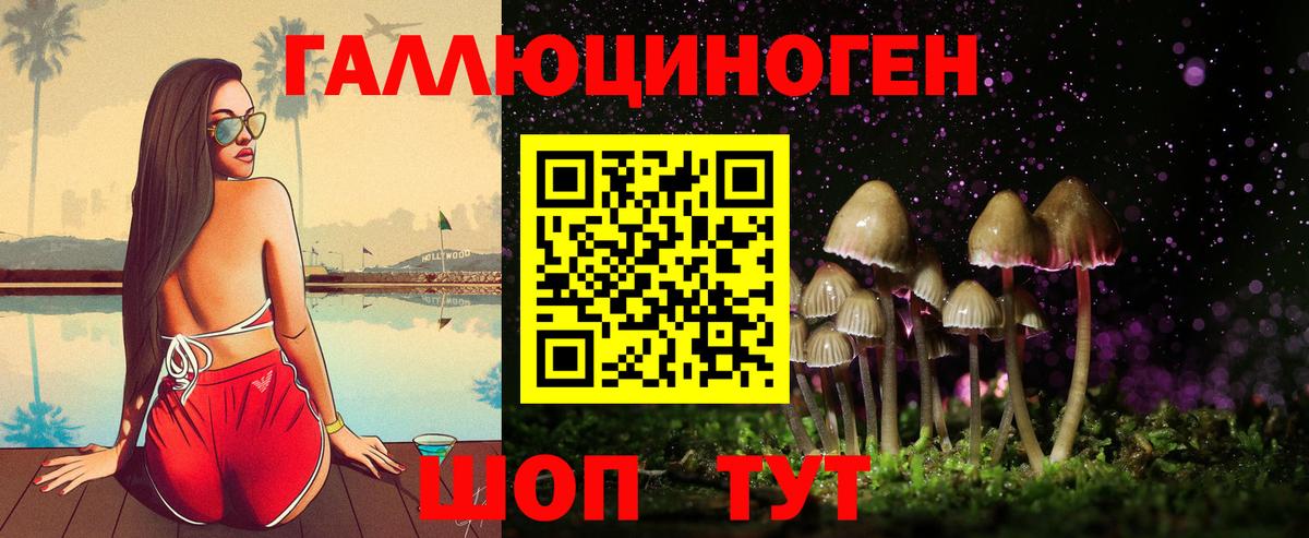 Галлюциногенные грибы мухоморы  Псилоцибиновые грибы мицелий  Вход с VPN  Владивосток 
