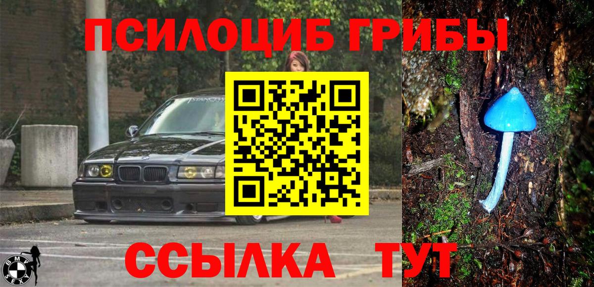 Псилоцибиновые грибы GOLDEN TEACHER Владивосток